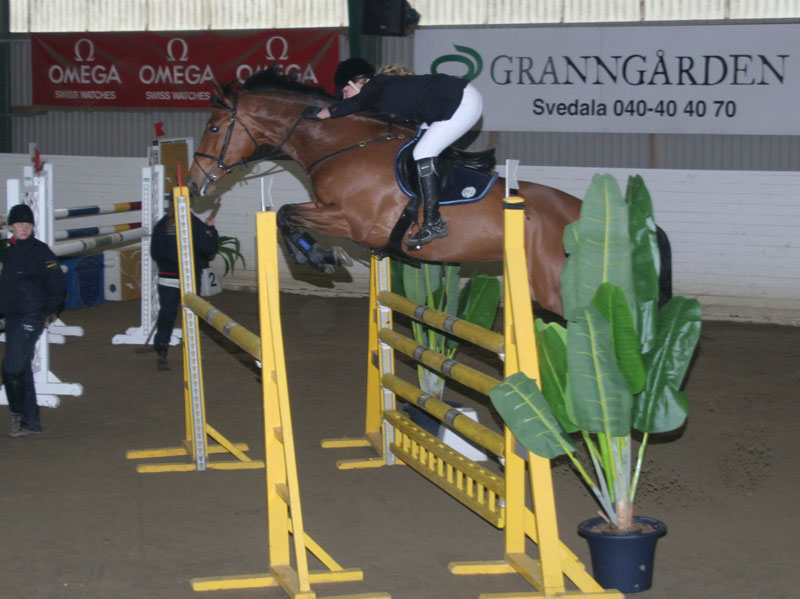 20080405_163552 Annette Karlsson Colrawill H